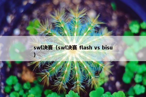 swl决赛（swl决赛 flash vs bisu）