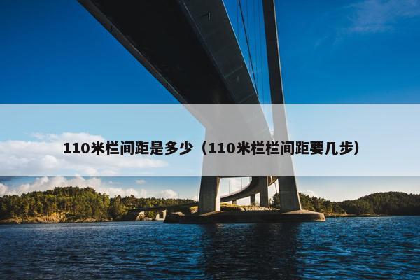 110米栏间距是多少（110米栏栏间距要几步）