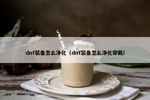 dnf装备怎么净化（dnf装备怎么净化穿戴）