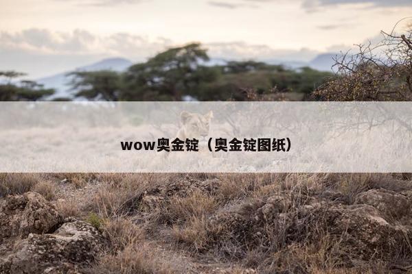 wow奥金锭（奥金锭图纸）