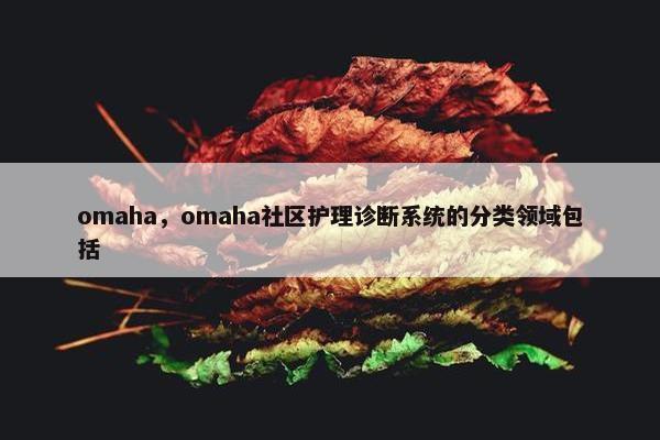 omaha，omaha社区护理诊断系统的分类领域包括