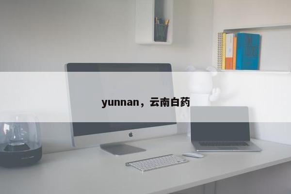 yunnan，云南白药