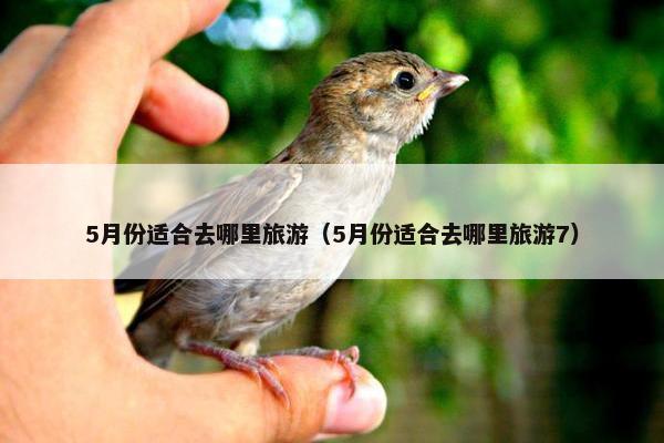 5月份适合去哪里旅游（5月份适合去哪里旅游7）