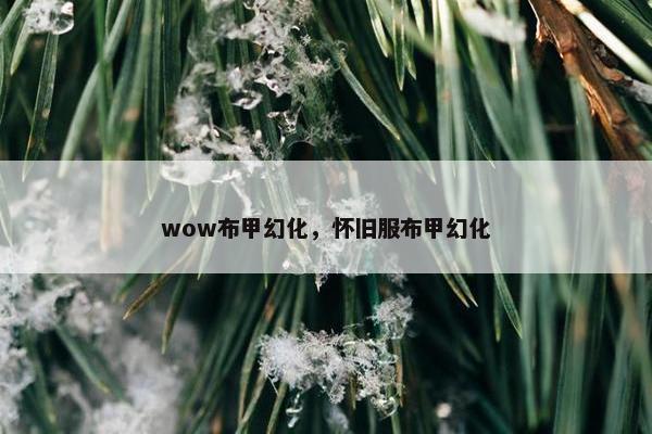 wow布甲幻化，怀旧服布甲幻化