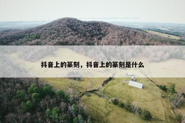 抖音上的篆刻，抖音上的篆刻是什么