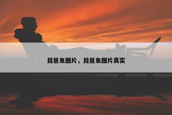 琵琶鱼图片，琵琶鱼图片真实