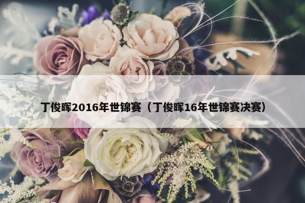 丁俊晖2016年世锦赛（丁俊晖16年世锦赛决赛）