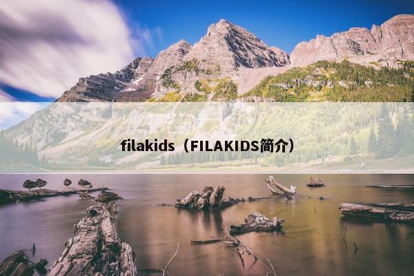 filakids（FILAKIDS简介）