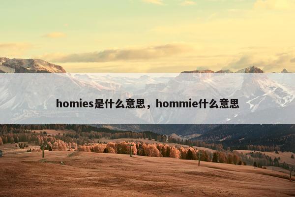 homies是什么意思，hommie什么意思