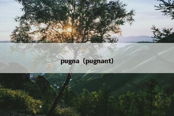 pugna（pugnant）