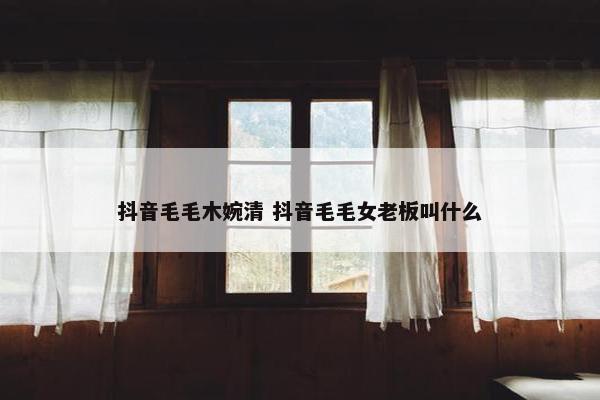 抖音毛毛木婉清 抖音毛毛女老板叫什么