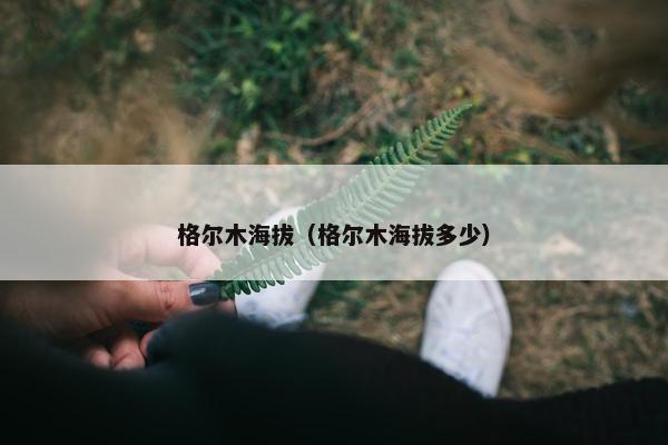 格尔木海拔（格尔木海拔多少）