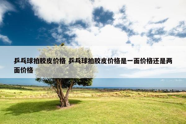 乒乓球拍胶皮价格 乒乓球拍胶皮价格是一面价格还是两面价格