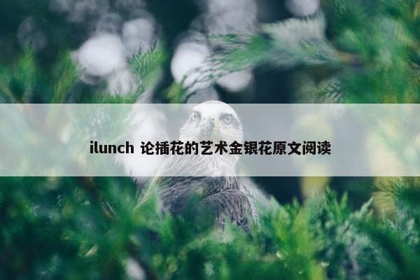 ilunch 论插花的艺术金银花原文阅读