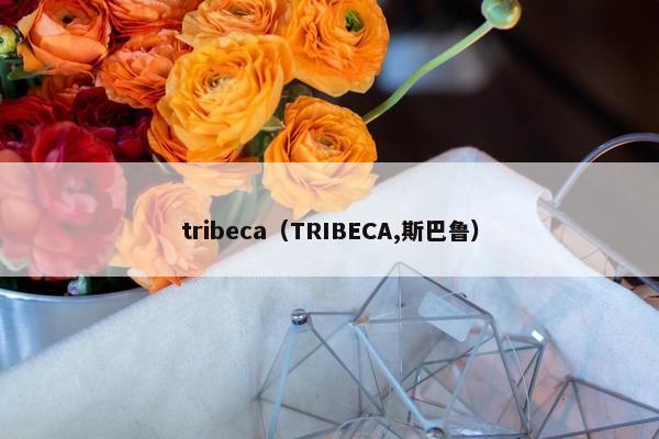 tribeca（TRIBECA,斯巴鲁）