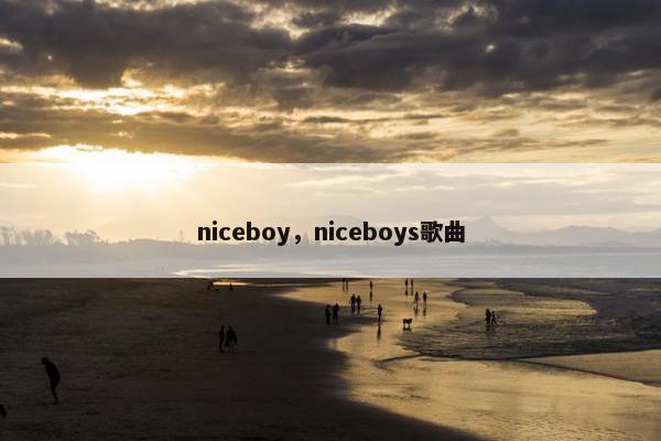 niceboy，niceboys歌曲