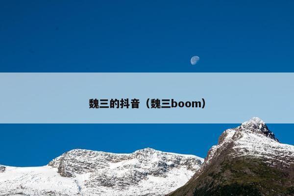 魏三的抖音（魏三boom）