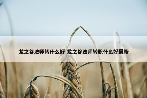 龙之谷法师转什么好 龙之谷法师转职什么好最新