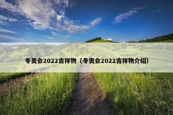 冬奥会2022吉祥物（冬奥会2022吉祥物介绍）