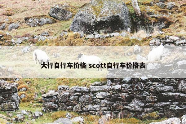 大行自行车价格 scott自行车价格表