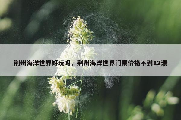 荆州海洋世界好玩吗，荆州海洋世界门票价格不到12漂