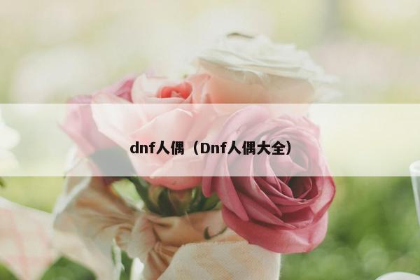 dnf人偶（Dnf人偶大全）