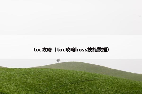 toc攻略（toc攻略boss技能数据）