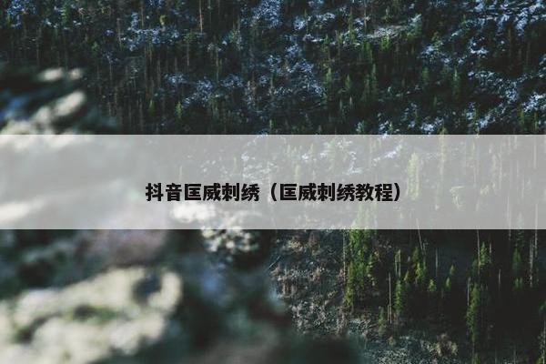 抖音匡威刺绣（匡威刺绣教程）