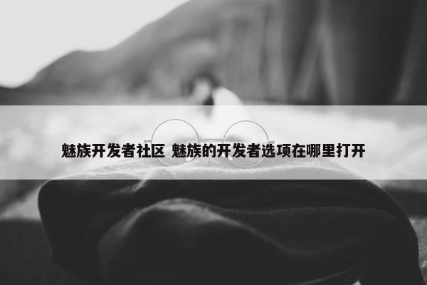 魅族开发者社区 魅族的开发者选项在哪里打开