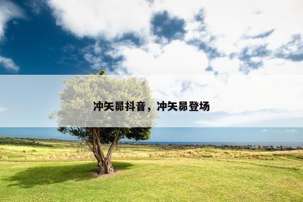 冲矢昴抖音，冲矢昴登场