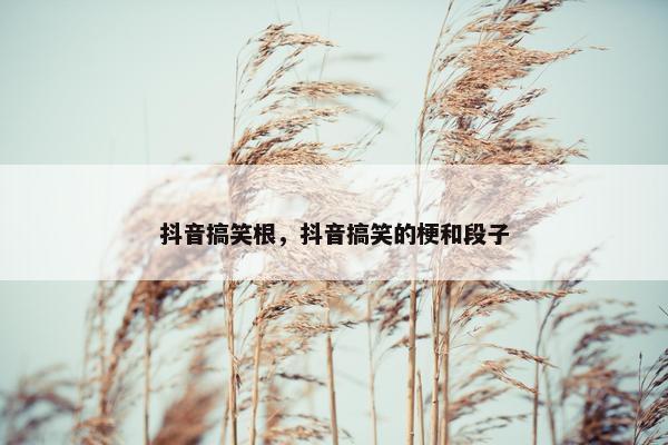 抖音搞笑根，抖音搞笑的梗和段子