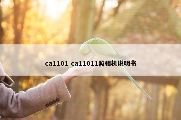 ca1101 ca11011照相机说明书