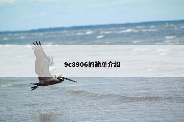 9c8906的简单介绍