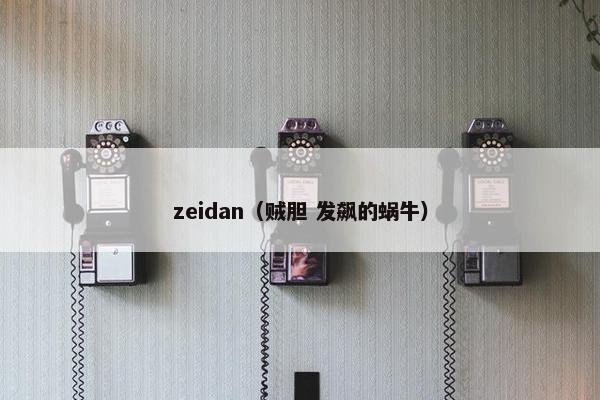 zeidan（贼胆 发飙的蜗牛）