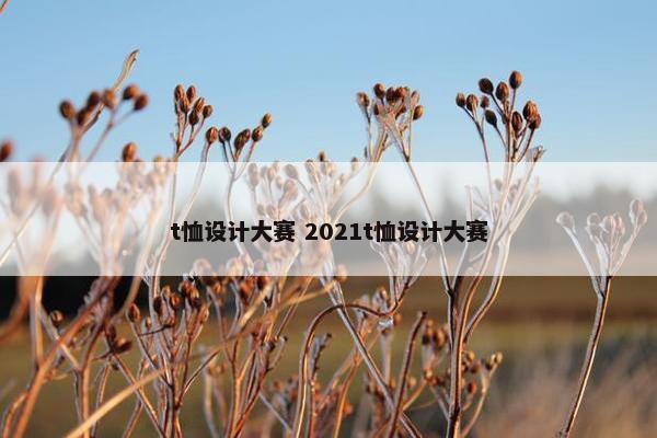 t恤设计大赛 2021t恤设计大赛