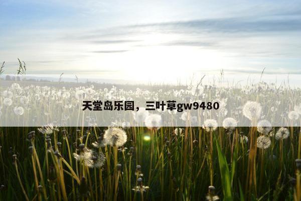 天堂岛乐园，三叶草gw9480