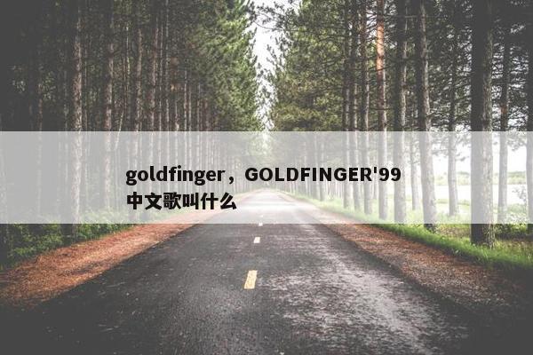 goldfinger，GOLDFINGER'99 中文歌叫什么