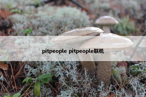 pitpeople pitpeople联机