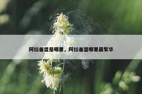 阿拉善盟是哪里，阿拉善盟哪里最繁华