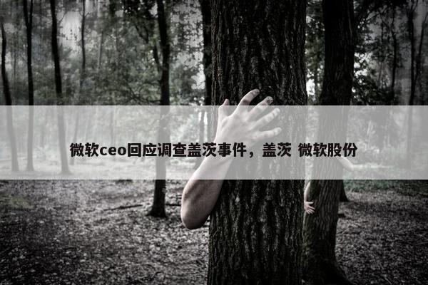 微软ceo回应调查盖茨事件，盖茨 微软股份