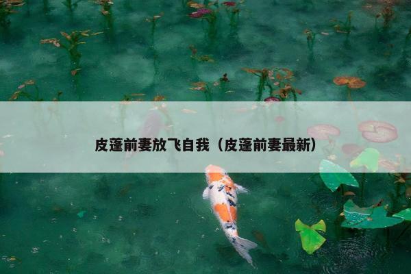 皮蓬前妻放飞自我（皮蓬前妻最新）