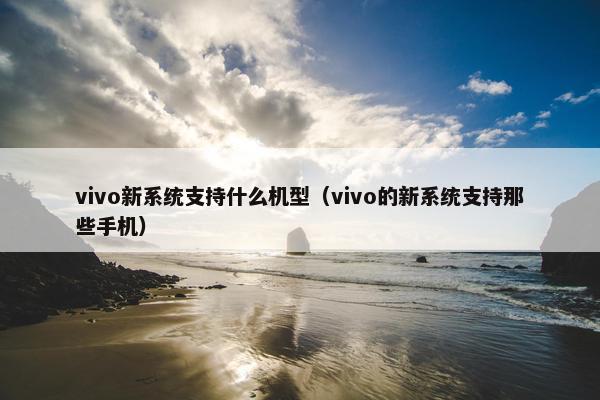 vivo新系统支持什么机型（vivo的新系统支持那些手机）