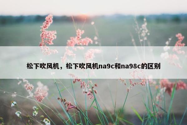 松下吹风机，松下吹风机na9c和na98c的区别