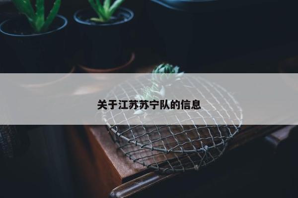 关于江苏苏宁队的信息