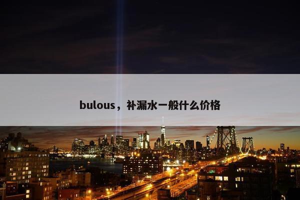 bulous，补漏水一般什么价格