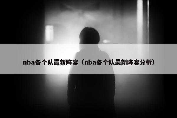 nba各个队最新阵容（nba各个队最新阵容分析）