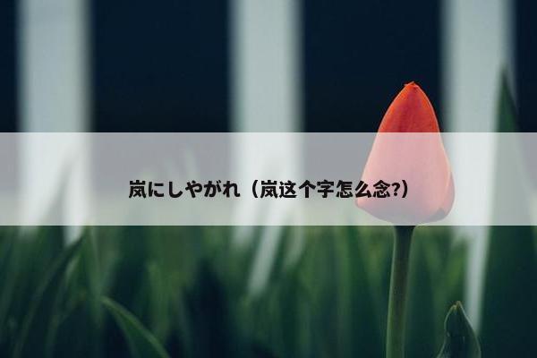 岚にしやがれ（岚这个字怎么念?）