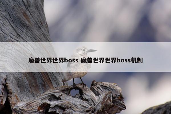 魔兽世界世界boss 魔兽世界世界boss机制