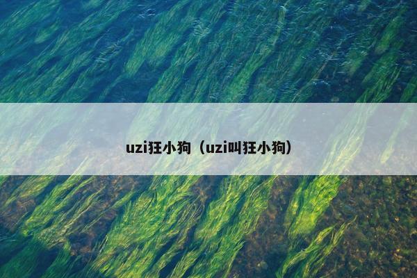 uzi狂小狗（uzi叫狂小狗）