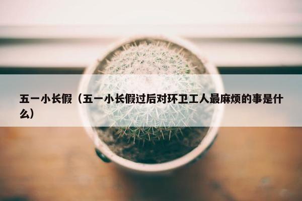 五一小长假（五一小长假过后对环卫工人最麻烦的事是什么）